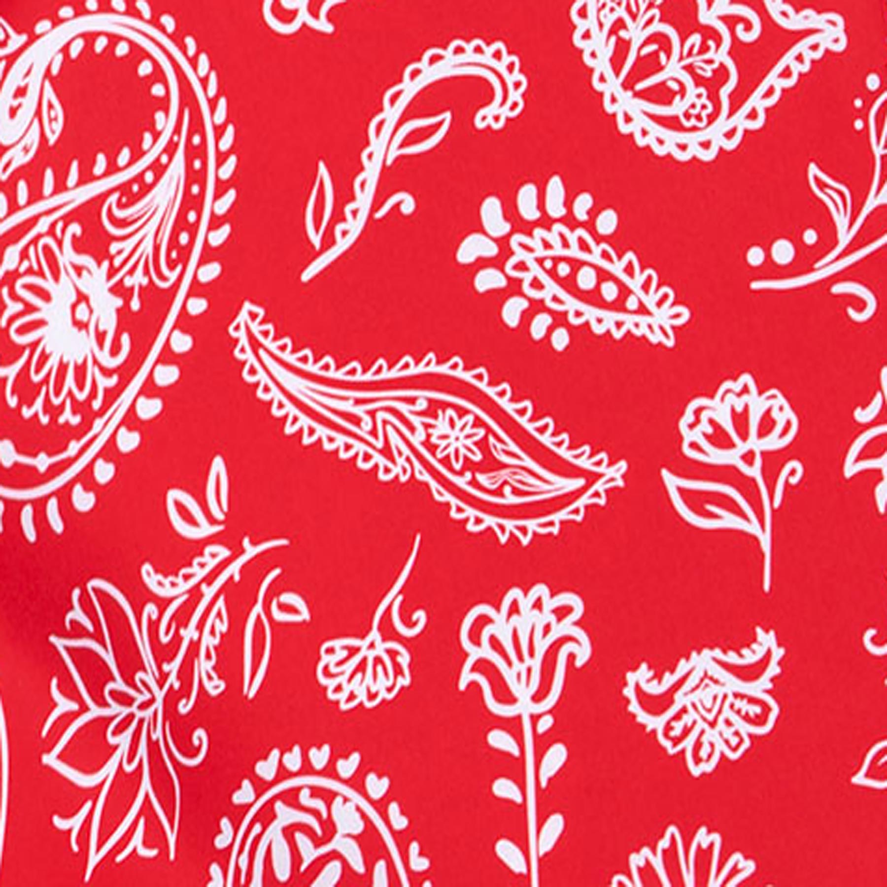 Americana Paisley - Red | Mens Swim Short